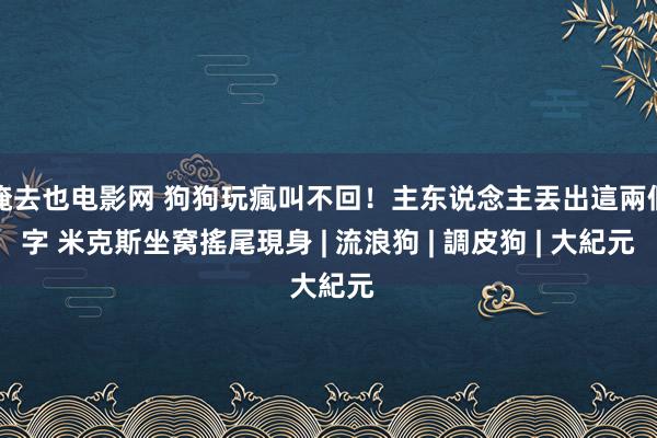 俺去也电影网 狗狗玩瘋叫不回！主东说念主丟出這兩個字 米克斯坐窝搖尾現身 | 流浪狗 | 調皮狗 | 大紀元