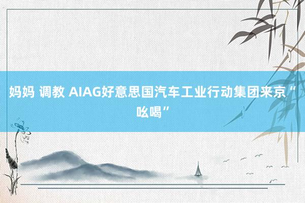 妈妈 调教 AIAG好意思国汽车工业行动集团来京“吆喝”