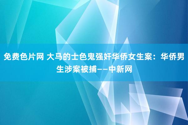 免费色片网 大马的士色鬼强奸华侨女生案：华侨男生涉案被捕——中新网