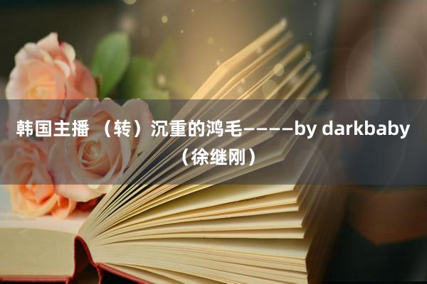 韩国主播 （转）沉重的鸿毛————by darkbaby（徐继刚）