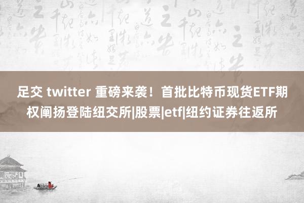 足交 twitter 重磅来袭！首批比特币现货ETF期权阐扬登陆纽交所|股票|etf|纽约证券往返所