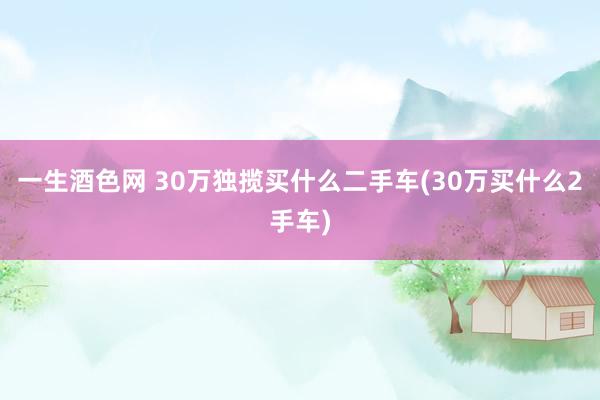 一生酒色网 30万独揽买什么二手车(30万买什么2手车)