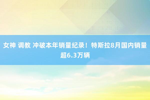 女神 调教 冲破本年销量纪录！特斯拉8月国内销量超6.3万辆