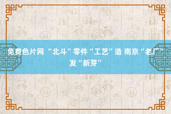 免费色片网 “北斗”零件“工艺”造 南京“老厂”发“新芽”