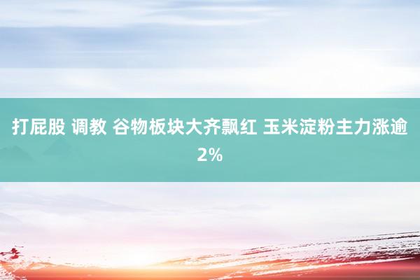 打屁股 调教 谷物板块大齐飘红 玉米淀粉主力涨逾2%