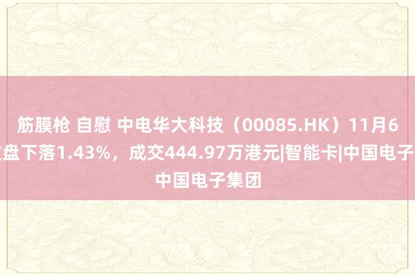 筋膜枪 自慰 中电华大科技（00085.HK）11月6日收盘下落1.43%，成交444.97万港元|智能卡|中国电子集团