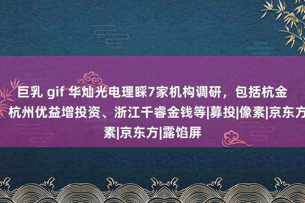 巨乳 gif 华灿光电理睬7家机构调研，包括杭金投基金、杭州优益增投资、浙江千睿金钱等|募投|像素|京东方|露馅屏