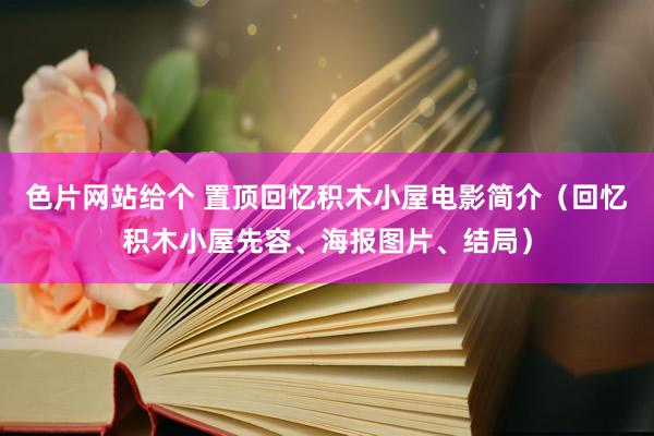 色片网站给个 置顶回忆积木小屋电影简介（回忆积木小屋先容、海报图片、结局）